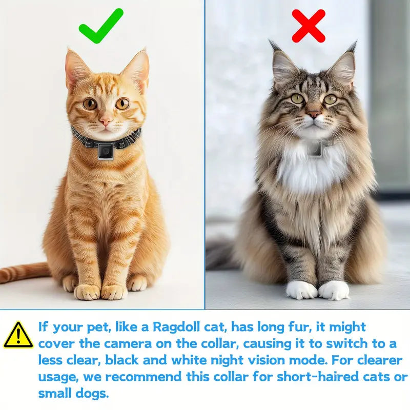 Collar Cámara Inalámbrico para Mascotas de 1080P para Gatos y Perros