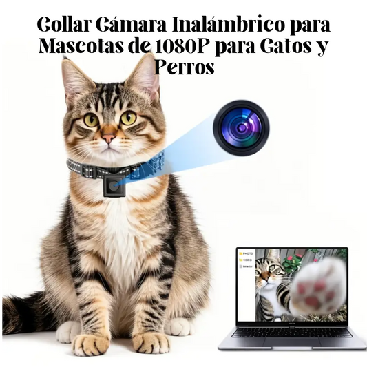 Collar Cámara Inalámbrico para Mascotas de 1080P para Gatos y Perros