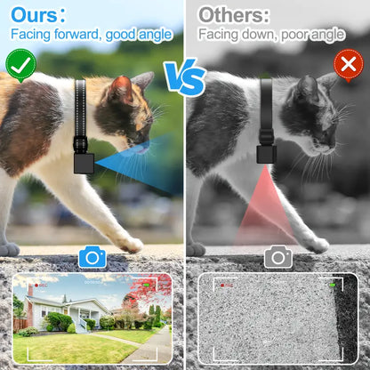 Collar Cámara Inalámbrico para Mascotas de 1080P para Gatos y Perros