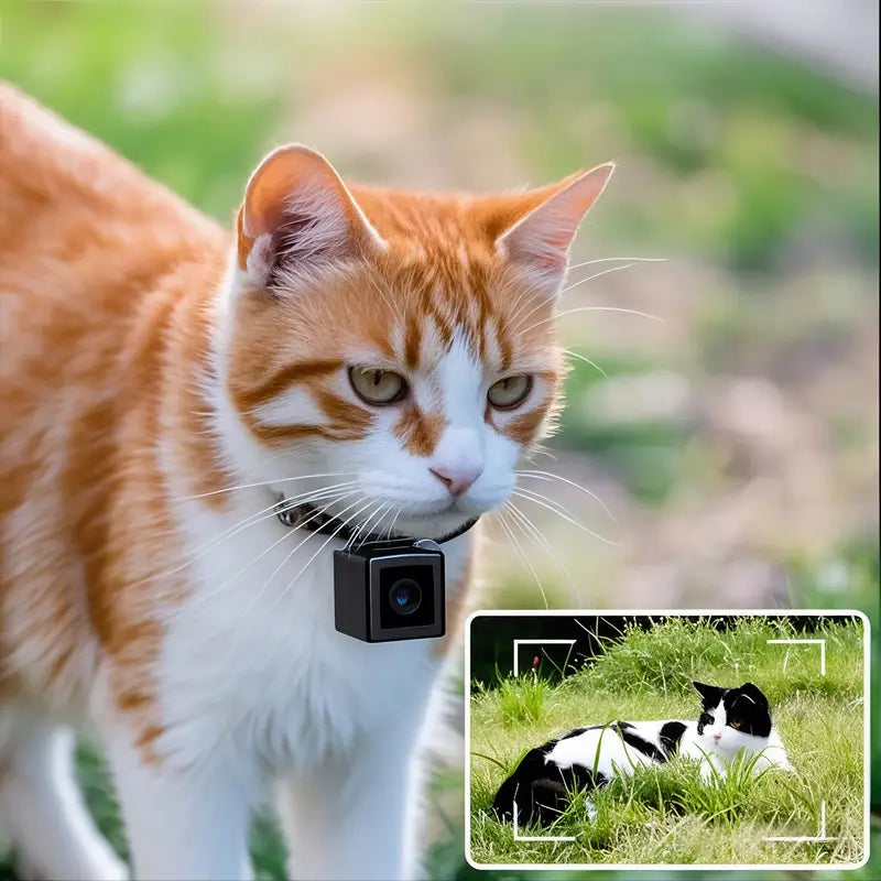 Collar Cámara Inalámbrico para Mascotas de 1080P para Gatos y Perros