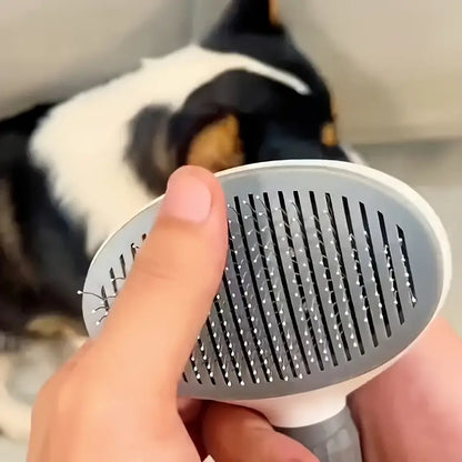 Peine especial para gatos para eliminar el pelo largo