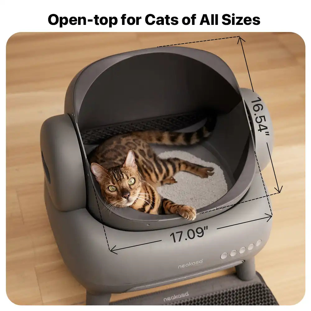 Caja de arena autolimpiable abierta para gatos Neakasa M1