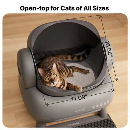 Caja de arena autolimpiable abierta para gatos Neakasa M1